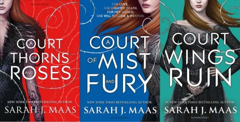 Image result for acotar series